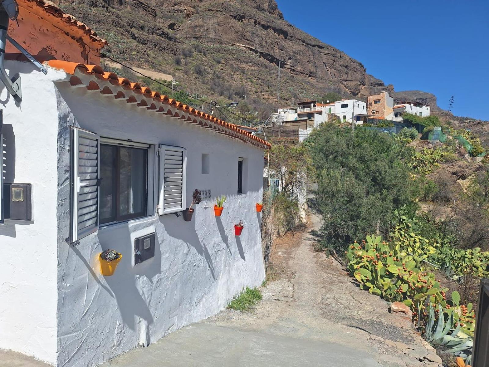 Casa Rural Los Pinares El Juncal De Tejeda Exterior photo